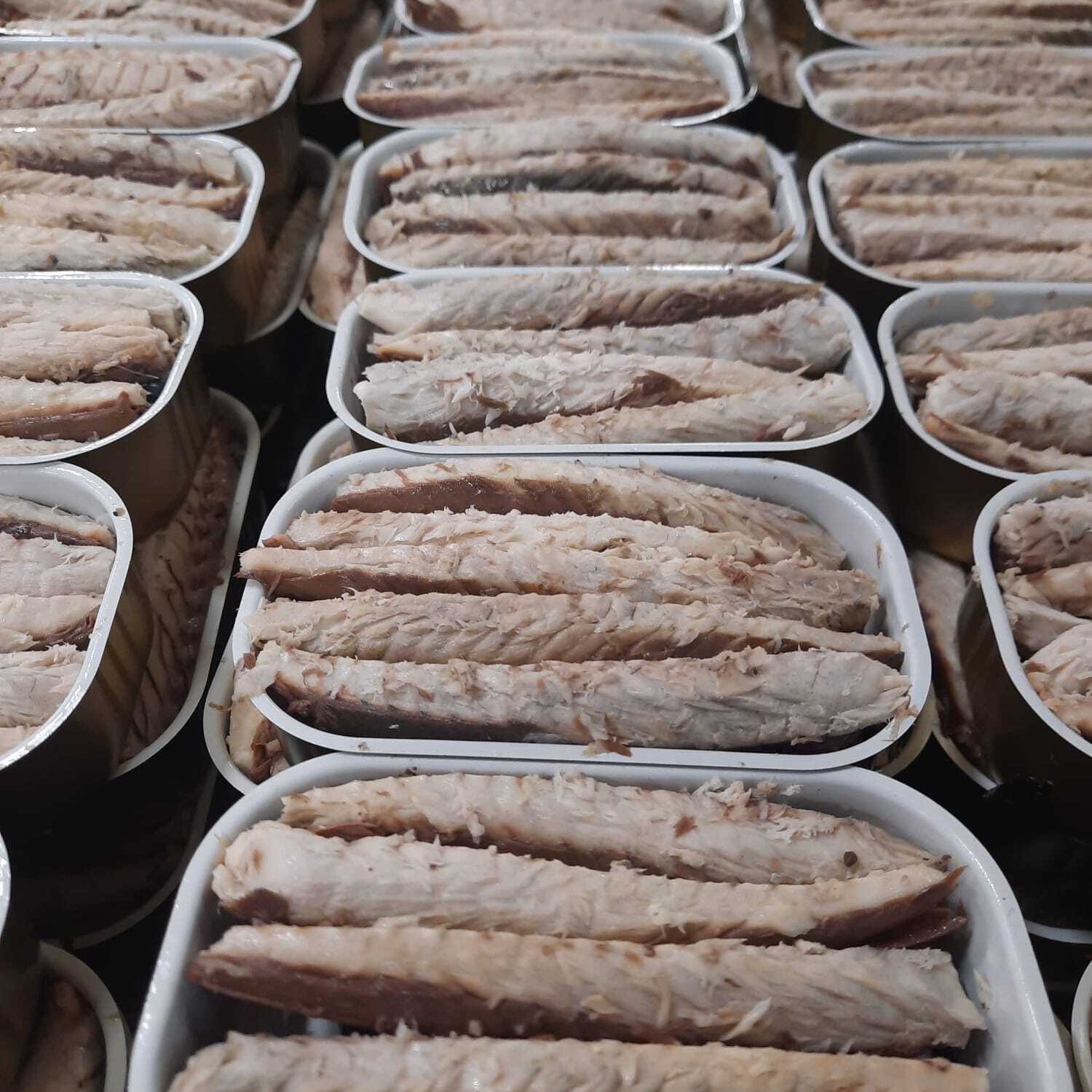 Rækker af åbne dåser fyldt med stablede fiskefileter på dåse, arrangeret tæt sammen, så man kan se fiskens tekstur og lag inde i metalbeholderne.