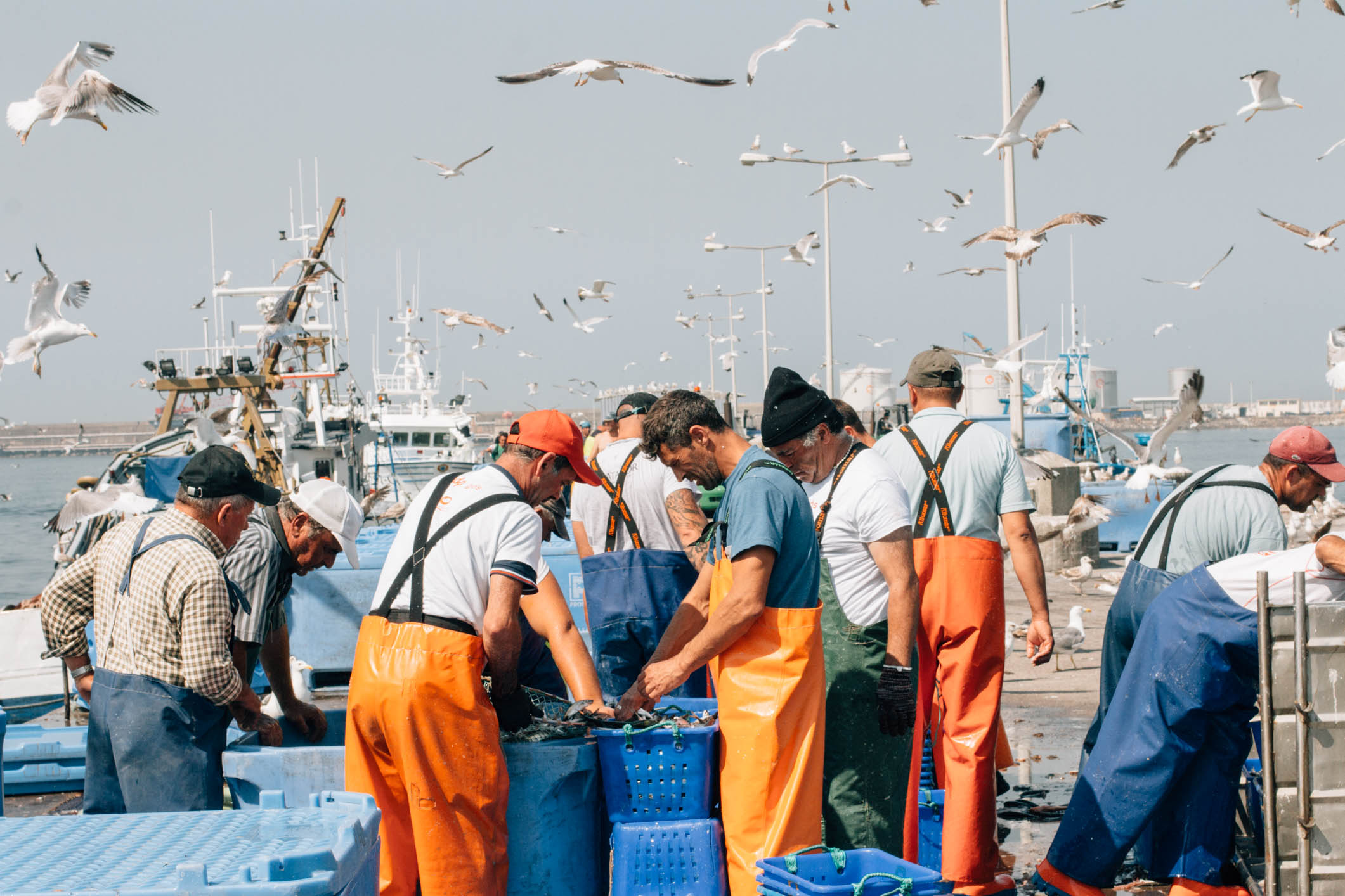 En gruppe fiskere iført orange overalls sorterer deres fangst på en travl havn, omgivet af måger, der flyver over dem, og fiskerbåde, der ligger til kaj i baggrunden.