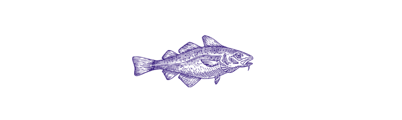 Torskekonserves