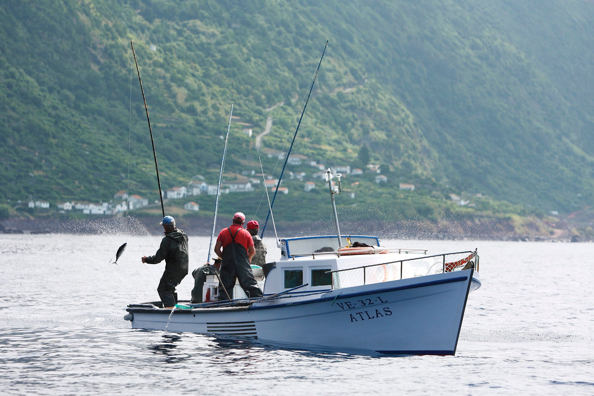 To personer fisker på en lille blå og hvid båd ved navn ATLAS, og den ene hiver en fisk op. I baggrunden er der grønne bakker med huse, og båden ligger på roligt vand.