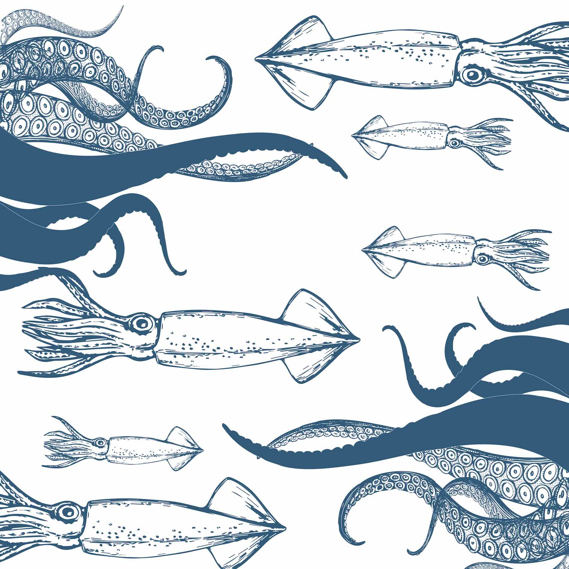 Blæksprutte – naturens delikatesse og havets lille vidunder