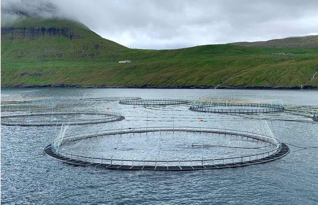 Fiskeopdræt - hvordan fungerer det?