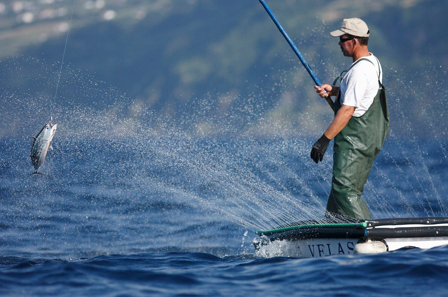 IPNLF - Certificering for stangfiskeri