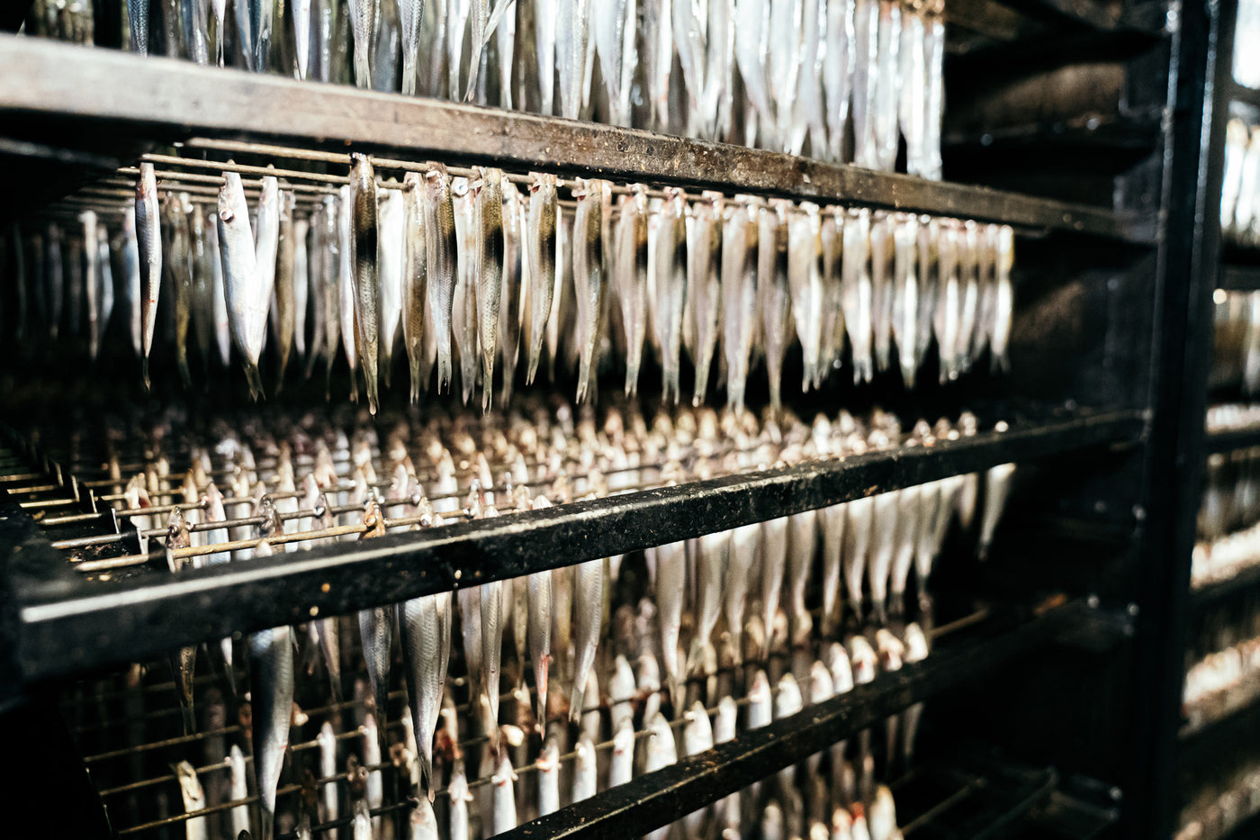 Omega-3 fra en lille fisk