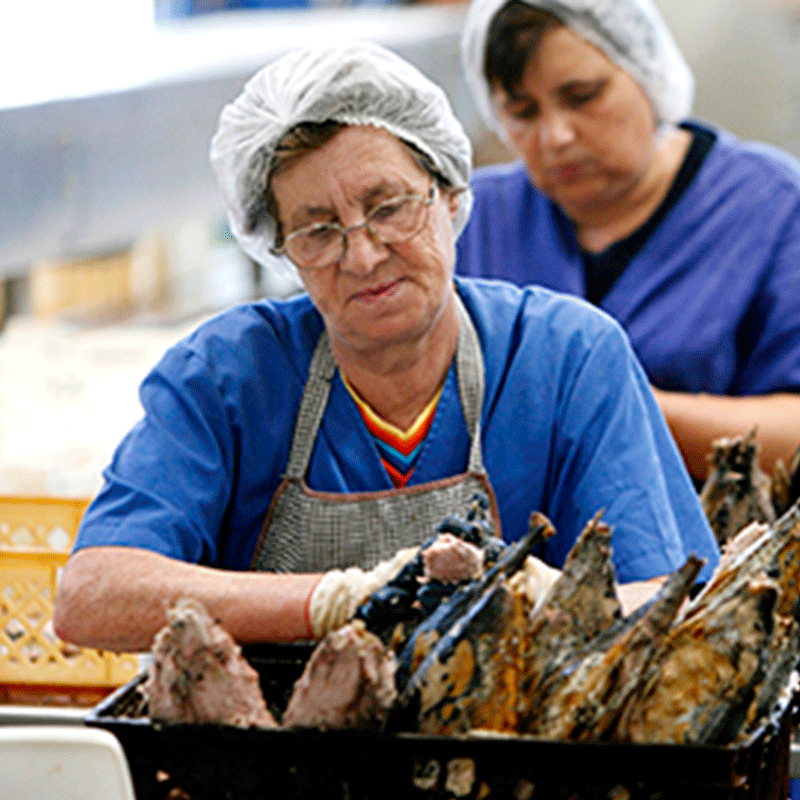 To kvinder iført hårnet og blå uniformer arbejder på en fabrik, hvor de håndterer stykker af fisk eller kød på en produktionslinje. Den ene kvinde fokuserer på at sortere eller inspicere emnerne foran hende.